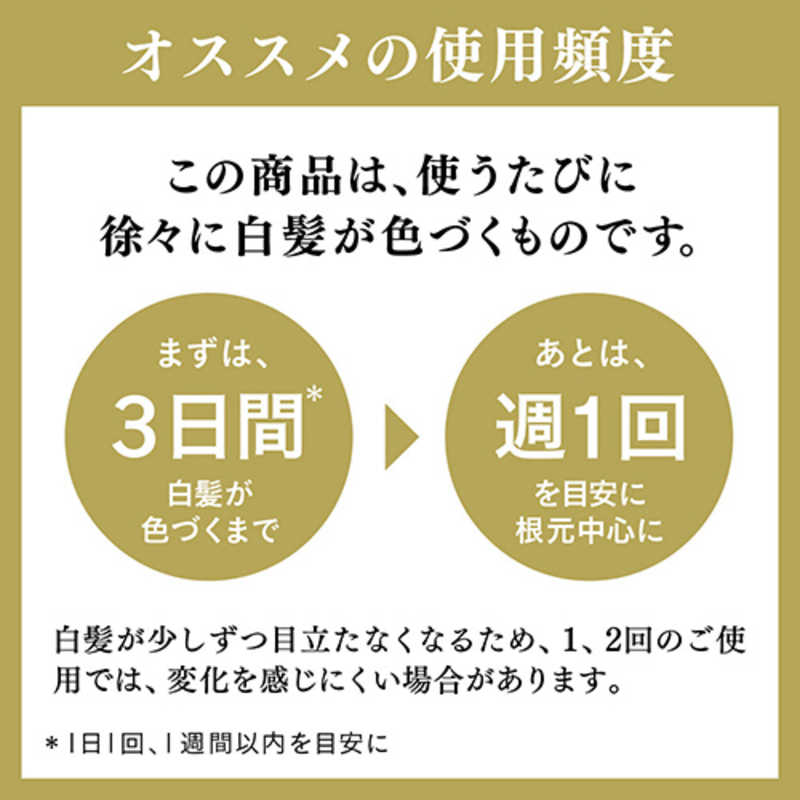 花王 花王 Rerise(リライズ) 白髪染め リ･ブラック (自然な黒さ) まとまり仕上げ 男女兼用 つけかえ用 190g  