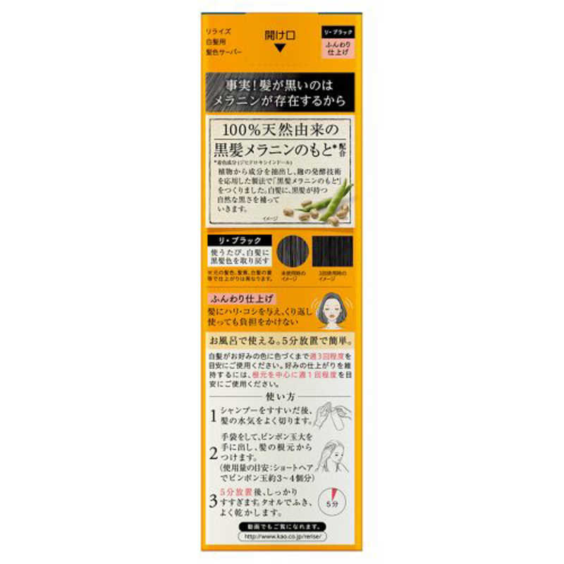 花王 花王 Rerise（リライズ） 白髪染め リ・ブラック （自然な黒さ） ふんわり仕上げ 男女兼用 つけかえ用  