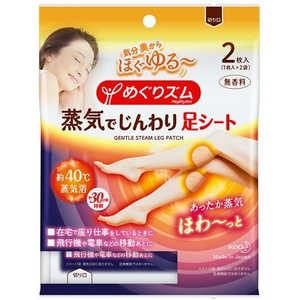 花王 めぐりズム 蒸気でじんわり 足シート 無香料 2枚入 花王 めぐりズム 蒸気でじんわり 足シート 無香料 2枚入