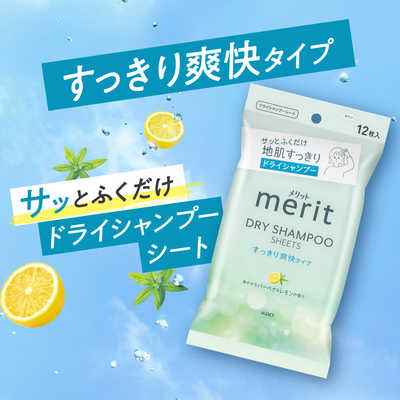 花王メリット merit DAY+ ドライシャンプー 24本セット 花王 merit メリットDAY+ ドライシャンプーシート 12枚入 の通販