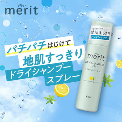 花王 merit メリットDAY+ ドライシャンプー スプレー 130g の通販