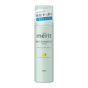 花王 merit メリットDAY+ ドライシャンプー スプレー 130g 花王 merit メリットDAY+ ドライシャンプー スプレー 130g