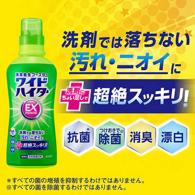 花王 ワイドハイター EXパワー 液体 つめかえ用 450mL の通販