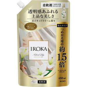 花王 IROKA ネイキッドリリー スパウト 650ml 花王 IROKA ネイキッドリリー スパウト 650ml