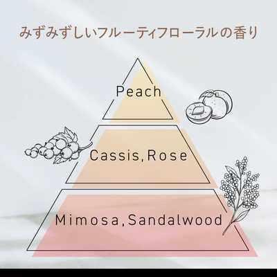 花王 サクセス24 モイストフィールシャンプー 本体 400ml サクセス の