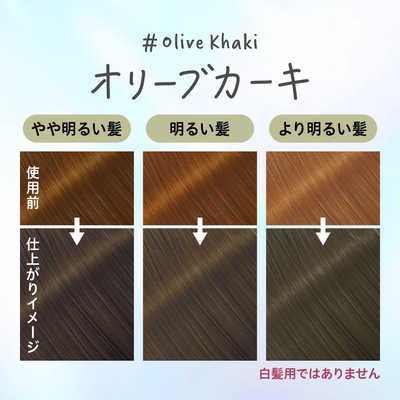 花王 Liese(リーゼ)ティントカラージェル 191mL オリーブカーキ の通販