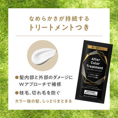 花王 リーゼ 泡カラー スモーキーアッシュグレー の通販 - カテゴリ