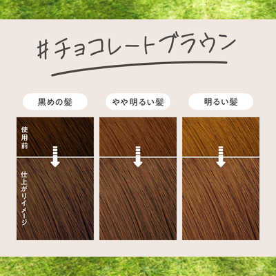 花王 リーゼ 泡カラー チョコレートブラウン の通販 - カテゴリ