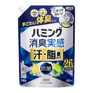 花王 ハミング消臭実感 汗・脂臭タイプ クリアシトラス 930ml 花王 ハミング消臭実感 汗・脂臭タイプ クリアシトラス 930ml