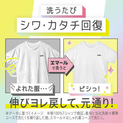 花王 エマール リフレッシュグリーンの香り つめかえ用 360g の通販