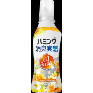 花王 ハミング消臭実感リラックス＆フローラルの香り本体510g HMシヨウシユウリラックスホン