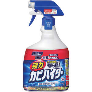 花王 強力カビハイター 業務用 スプレー付き 1000mL 