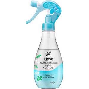 花王 Liese(リーゼ) ミントシャワー 本体(200ml) 花王 Liese(リーゼ) ミントシャワー 本体(200ml)