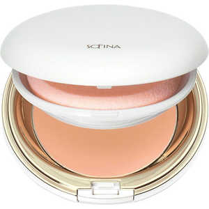 花王 ファインフィット ベースファンデーションUV しっかりカバータイプ用 コンパクトケース 