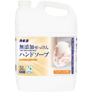 カネヨ石鹸 無添加せっけんハンドソープ 5L ムテンカセツケンハンド5L