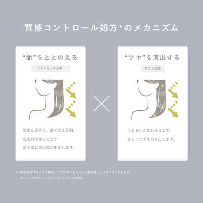 プロスタイルニュアンスメイクオイル × 36点 プロスタイルニュアンスメイクオイル × 36点