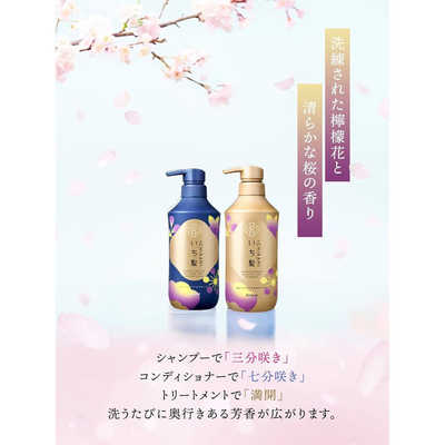 クラシエ いち髪 シャンプー＆コンディショナーぺアセット(ダメージ