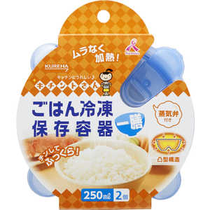 キチントさん ごはん冷凍保存容器 一膳分 2コ入