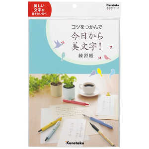 呉竹 コツをつかんで今日から美文字!(練習帳) DAW1008
