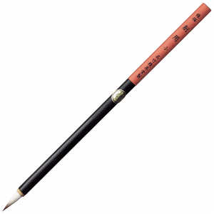 | npM p  JG322408