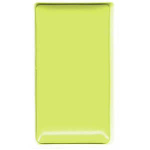 呉竹 呉竹 顔彩耽美 No.501 柳色 MC21501