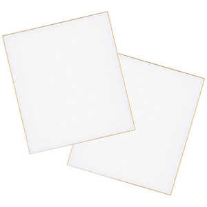 呉竹 色紙画仙 LA21-1