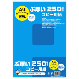 キョクトウアソシエイツ ぶ厚いコピー用紙 250gsm(A4･25枚) PPC250A4