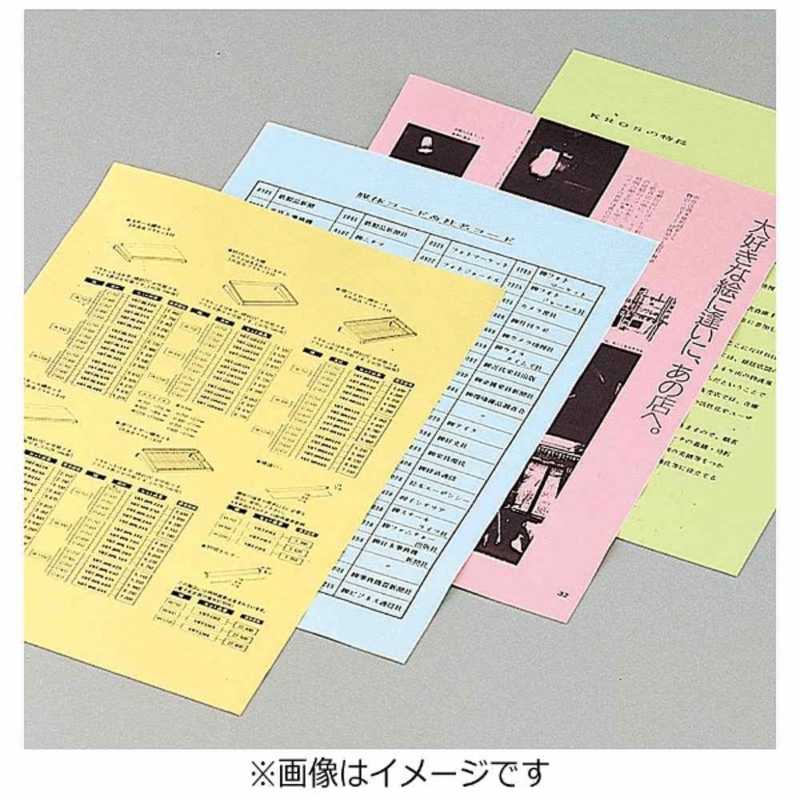 コクヨ コクヨ PPCカラー用紙(共用紙) (A4･100枚/青) KB-C139NB KB-C139NB