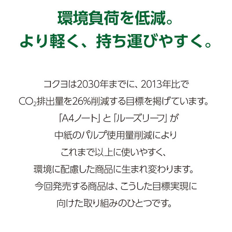 コクヨ コクヨ ルーズリーフ(さらさら)統計罫 B5 ﾉ837VN ﾉ837VN