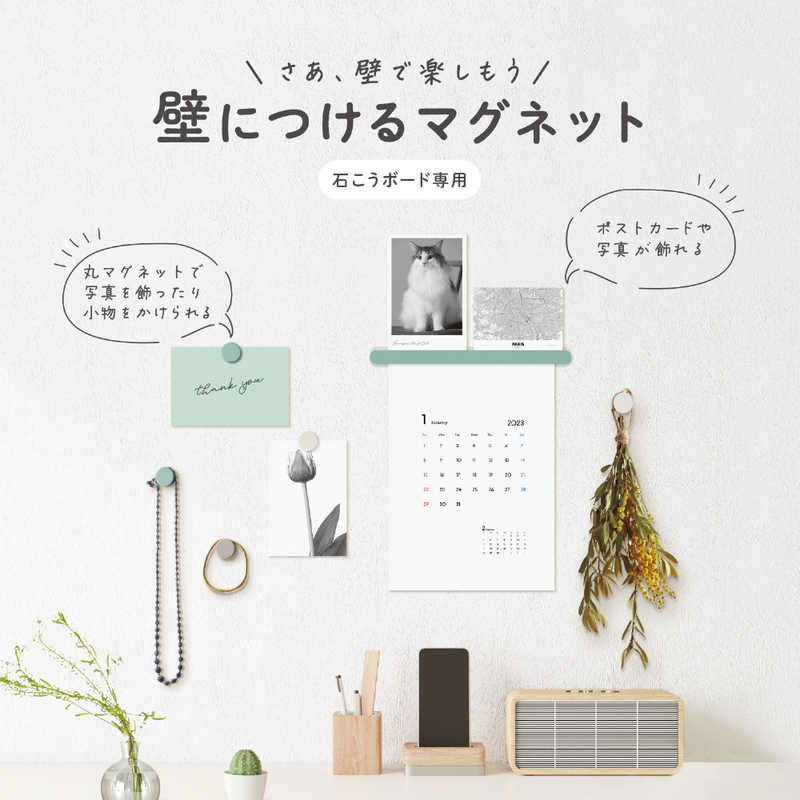 コクヨ コクヨ 壁につけるマグネットセットA カラーアソート LSW-MGPSETA-2 LSW-MGPSETA-2