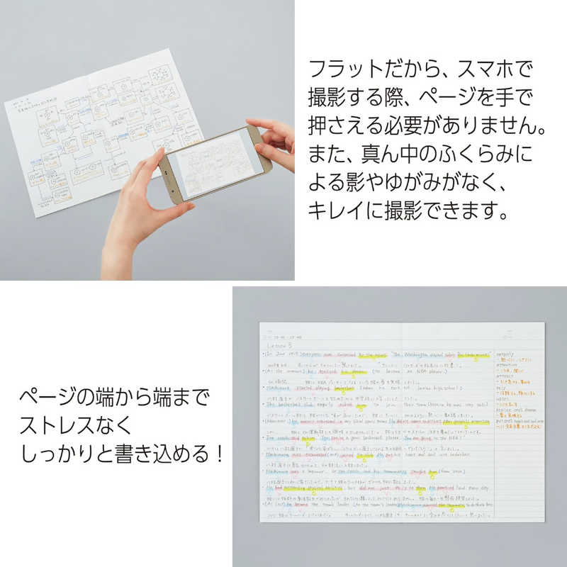 コクヨ コクヨ (限定)フラットキャンパスノート 50周年記念 A罫3P ノ-FL3CAT-L1X3 ノFL3CATL1X3 ノFL3CATL1X3