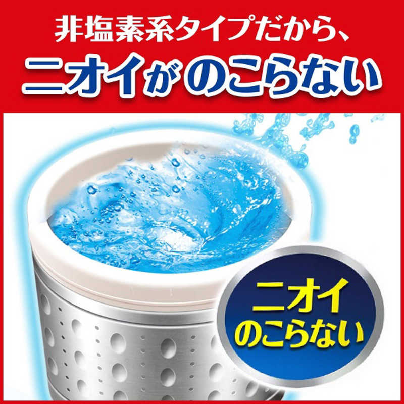 ジョンソン ジョンソン アクティブ酸素で落とす洗たく槽カビキラー 250g〔洗濯槽クリーナー〕  