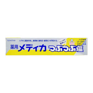 サンスター 薬用メディカ つぶつぶ塩 170g 