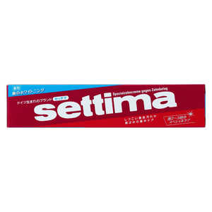 サンスター セッチマはみがき 40g サンスター セッチマはみがき 40g