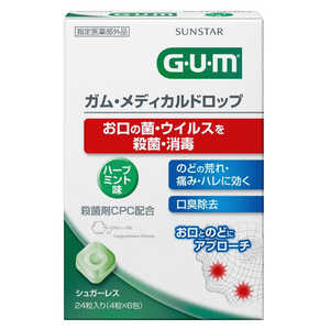 󥹥 GUM() ǥɥå Υϡ֥ߥ̣ 24γ