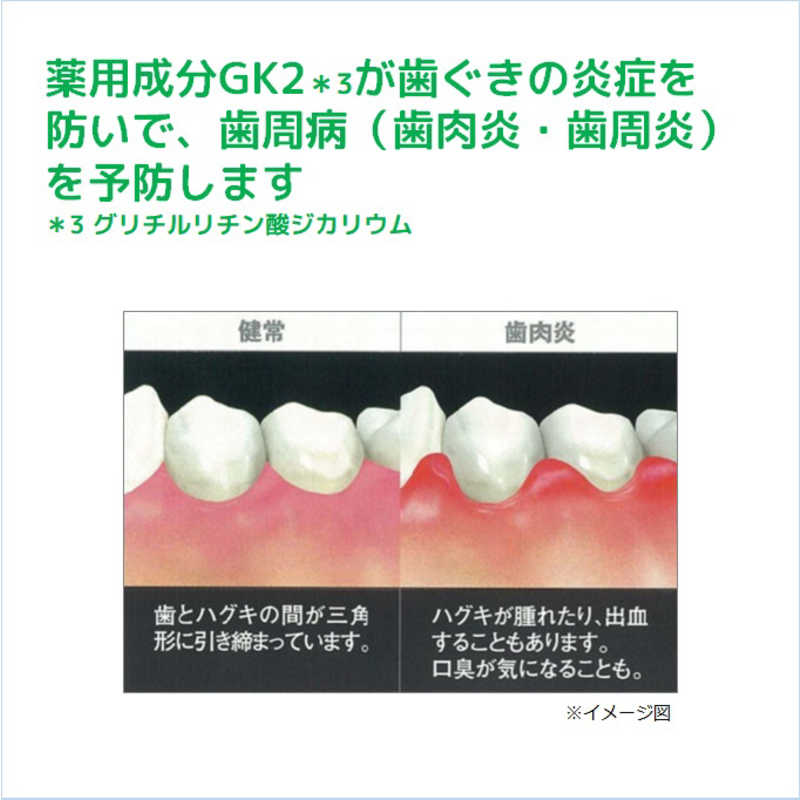 サンスター サンスター ｢GUM(ガム)｣薬用 デンタルペースト スタンディングタイプ 120g  