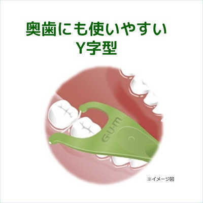 サンスター ｢GUM(ガム)｣デンタルフロス&ピック Y字型 30本入 の