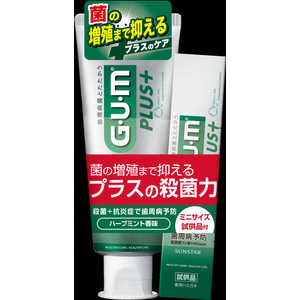 TX^[ GEUEM KEvX f^y[Xg n[u~g 120g{20g