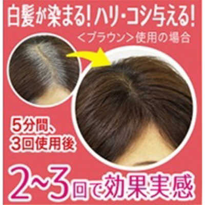 三宝 テンスター カラートリートメント ライトブラウン 250g の通販 