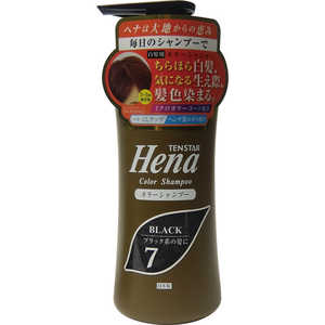 三宝 テンスター カラーシャンプー ソフトブラック 300mL 三宝 テンスター カラーシャンプー ソフトブラック 300mL