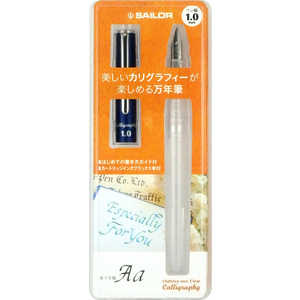 Z[[ݔNM nCG[XlINA JOtB[1.0 12-0155-100