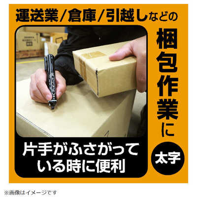 ゼブラ マッキーノック フトジ 黒 PYYSB6BK の通販 - カテゴリ