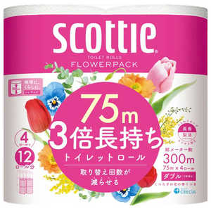 楯쥷 åƥ(scottie) եѥå 3Ĺ Ĥ֤ιĤ [4 /֥ /75m]