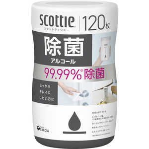 日本製紙クレシア スコッティ ウェットティシュ- 除菌アルコール 120枚 本体 SCウェットジョキンAL120ホンタイ 日本製紙クレシア スコッティ ウェットティシュ- 除菌アルコール 120枚 本体 SCウェットジョキンAL120ホンタイ