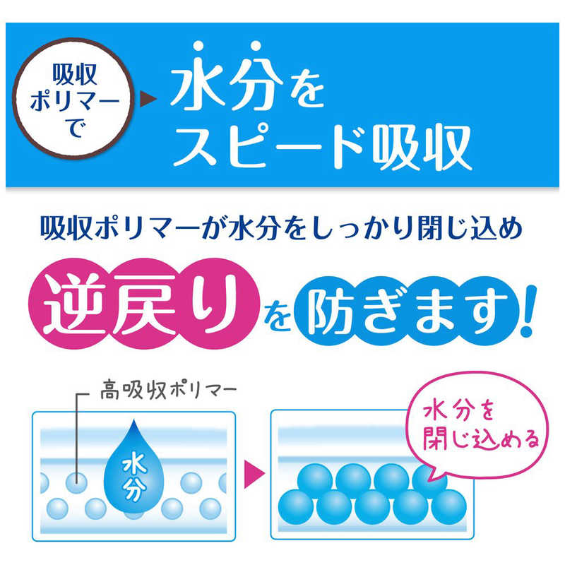 日本製紙クレシア 日本製紙クレシア ポイズライナーさらさら吸水スリム 安心の中量用 12枚  