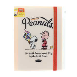 サンスター文具 (限定) ゴムバンド付きクリアファイル5P＋F PNAT12 アイスクリーム S2176971