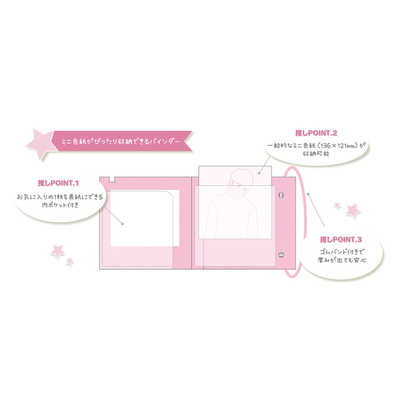 サンスター文具 ミニ色紙バインダー My collection 2 ピグレット