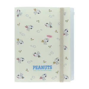 󥹥ʸ Хեꥢե5PF PNPWC5  S2139090