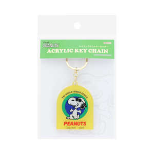 サンスター文具 レイヤーアクリルKH PEANUTS Vintage Collection イエロー S8348839 サンスター文具 レイヤーアクリルKH PEANUTS Vintage Collection イエロー S8348839
