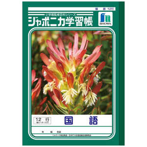 祦Ρ ݥ˥ؽĢ  B5Ƚ 12 JL-11  12祦꡼
